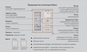 Прихожая модульная Стилиус в Нефтекамске - neftekamsk.magazinmebel.ru | фото - изображение 2